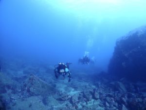 やっぱり冬が好き！