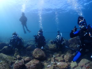 いい時期がやってきましたー