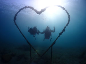 １２月に入ってしまいましたね、、、