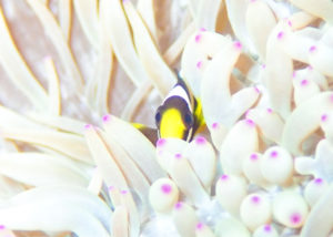 見つめ合う２人