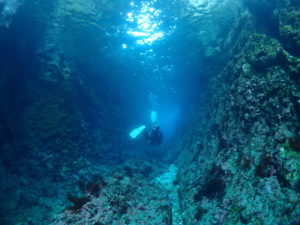 ハイブリットポイント