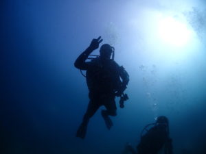 ライセンス講習