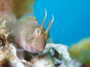 皆さんハマっております！！