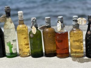 熟成いかがでしょうか？