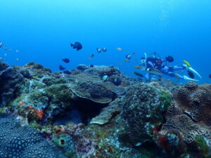 ギリギリを攻めてるツアー②