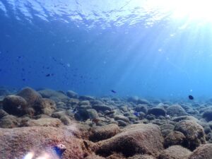 久々に青い海！！