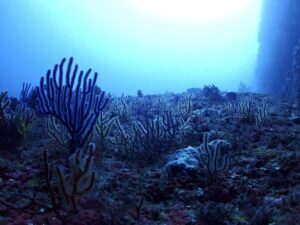 「雲見」と聞けば…