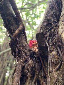 精霊なのか、、、？