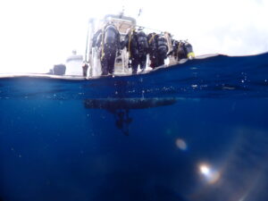 ウミウシの気持ち
