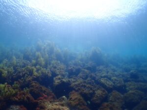 盛りだくさん！！