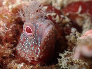 やはりキャメラが楽しい②