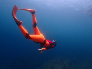 これで君もアリエルだ！