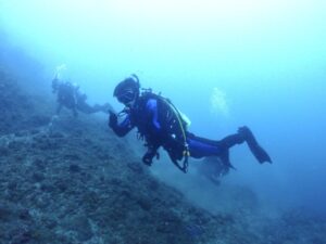 とある日帰りツアーの様子