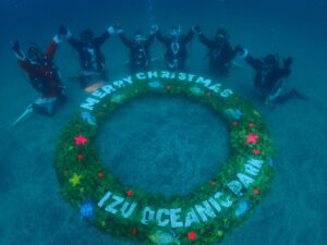 クリスマスツアー2023