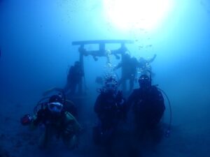 水中初詣？！イルカ？！