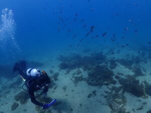 ダイビングの1日^_^