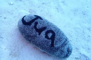 社員研修！食トレ編②