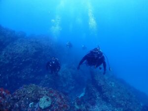 海の男たち😎🌊