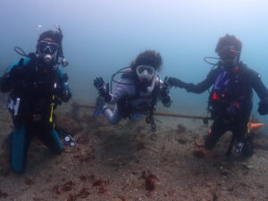 またまたいい天気☀️