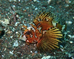 かわいい生き物みっけ！