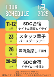 ↓　1月ツアー情報（下記POST)