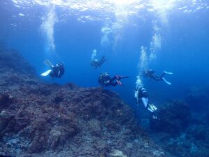 11/21《八丈島ツアー》