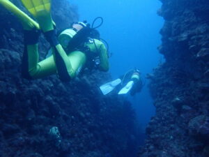 11/23《スタッフ海研修day》