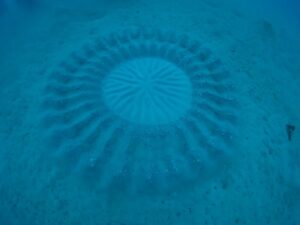 4/11～13（金土日）《奄美大島ツアー》