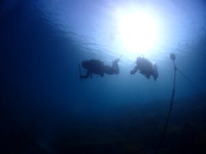 春までもうちょっと