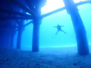 6/13(金）～6/15（日）水中カメラ合宿in沖縄！