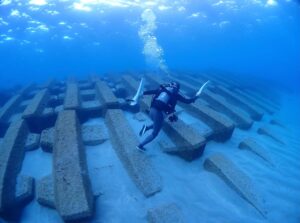 ダイビングを始めたい人必見！最短3日！ライセンス取得までの流れ解説！