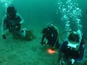 スタッフ華子presents！海も恋も(?)ディープな大瀬崎ツアー！