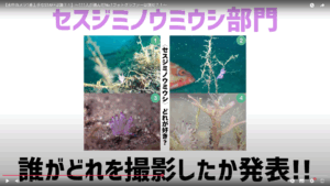 YouTube【水中カメラ一番上手なSTAFFは誰？！】公開しました。