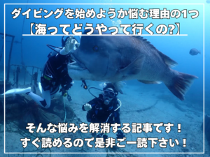 初級ライセンス取得 完全ガイド！～海講習の1日の流れを解説～