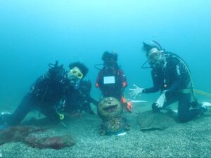 ファンダイビングならライセンスが必要