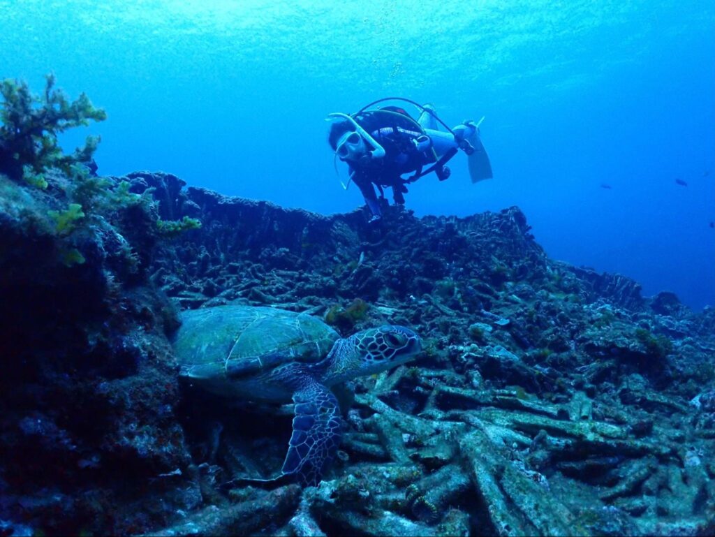 沖縄や海外でダイビングライセンスを取得した方が安い？