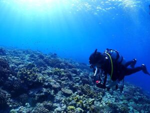 沖縄や海外にあるスクール