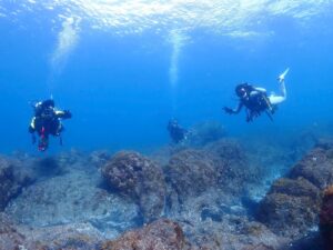 ダイビングライセンスを取得する指導団体はどこがいい？