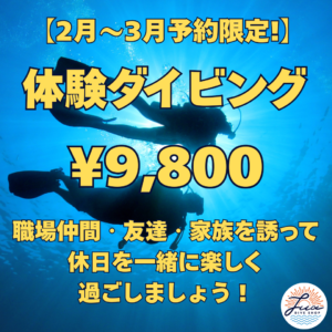 体験ダイビング超特割キャンペーン