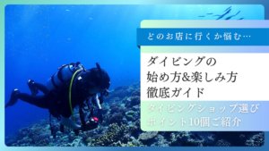 ダイビングショップ選びのポイント10｜ダイビングの始め方＆楽しみ方徹底ガイド