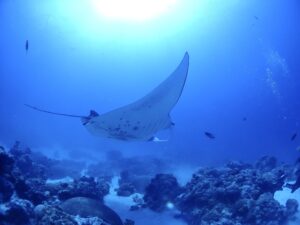 This is 「ZEITAKU」‼️‼️‼️