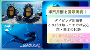 【初心者向け】ダイビング用語集｜これだけ知っておけば安心な超・基本の10語