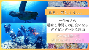 休日が暇な20代・30代社会人必見！新しい趣味に「ダイビング」が最強すぎる5つの理由【趣味・出会い・非日常】