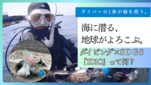 【SDGs】ダイビングを趣味に！海洋プラスチックを減らす1D1C